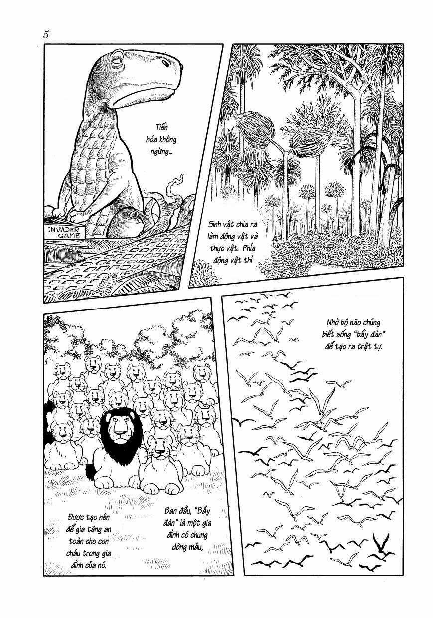 Chim Lửa - Chapter 77 - Trang 8