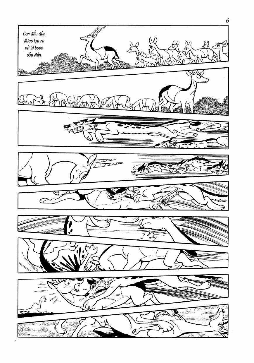 Chim Lửa - Chapter 77 - Trang 9