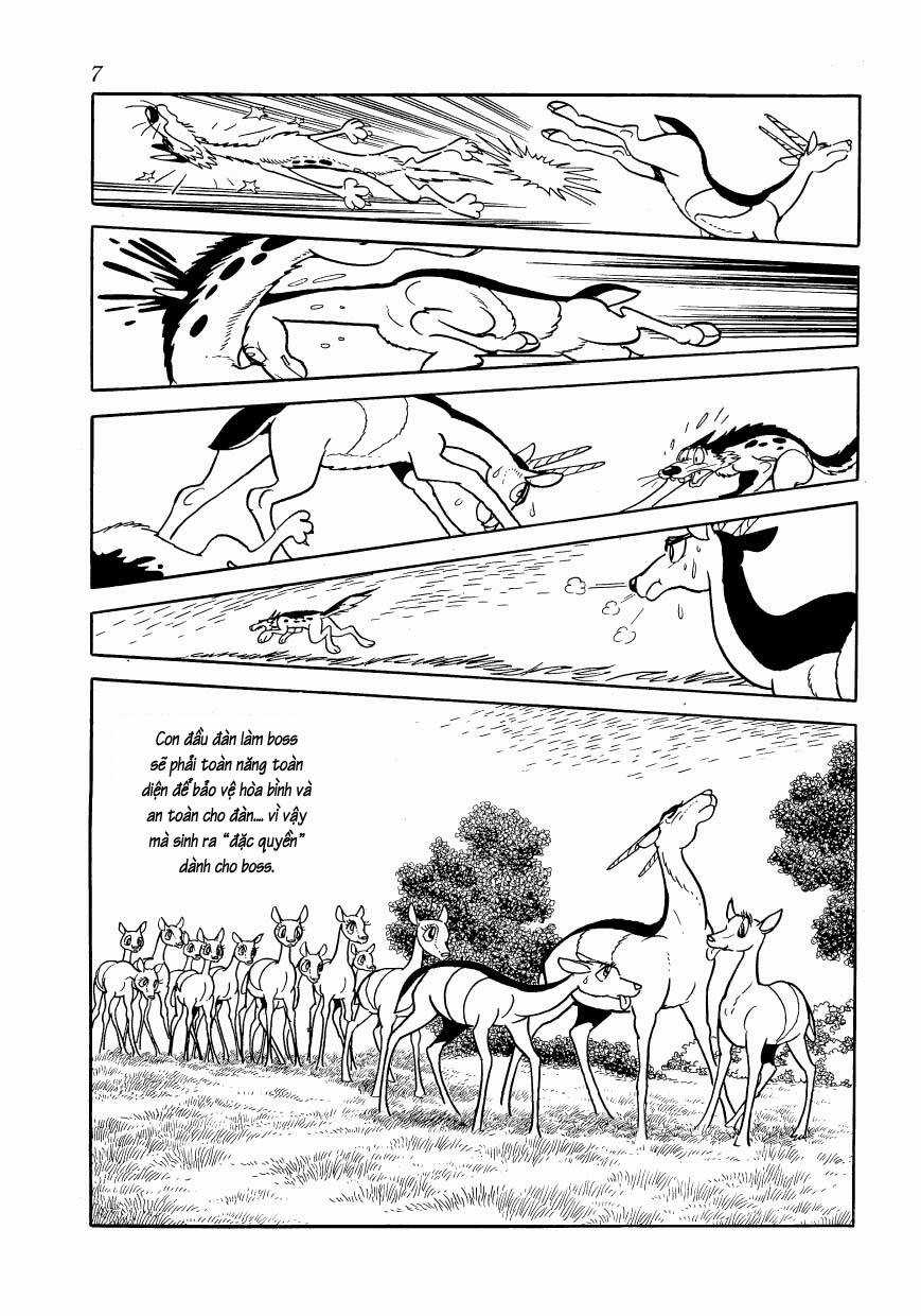 Chim Lửa - Chapter 77 - Trang 10