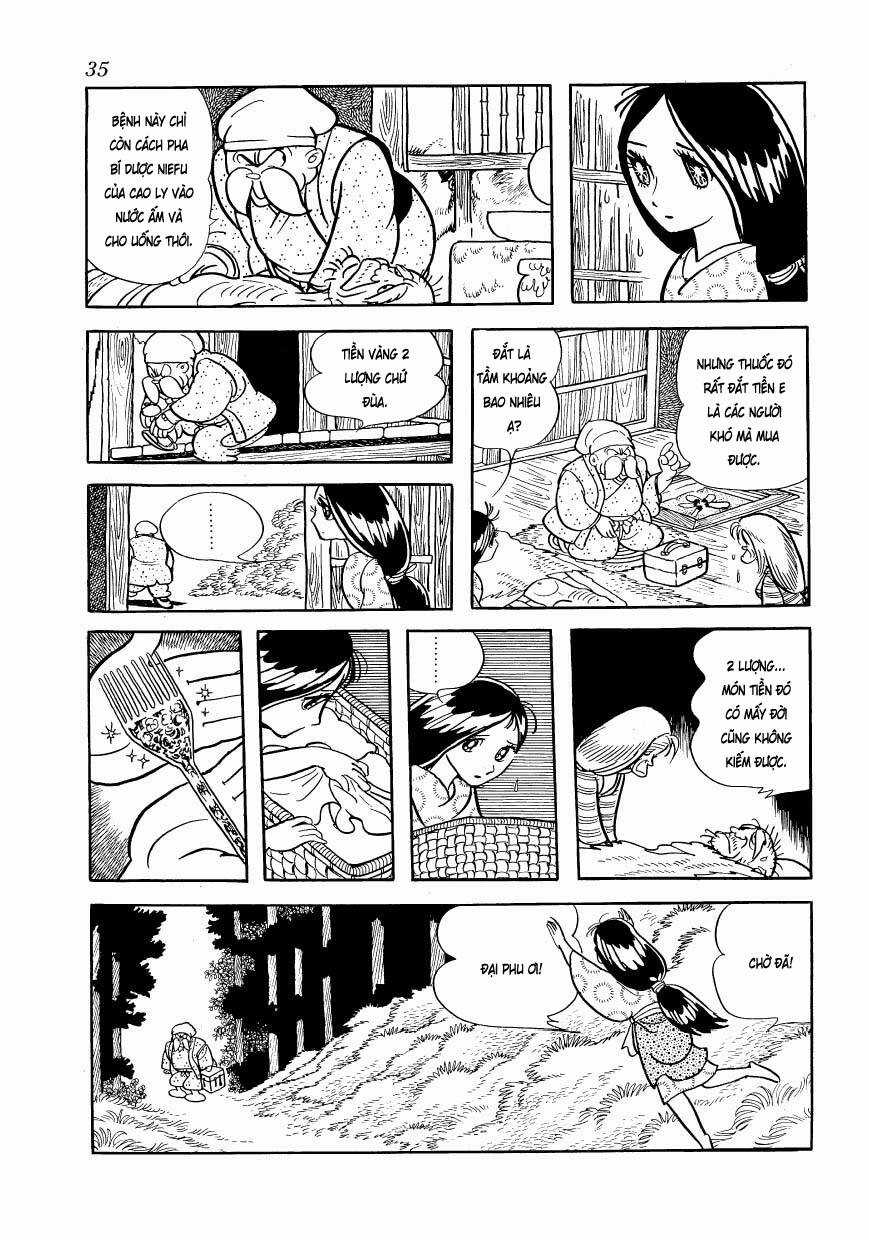 Chim Lửa - Chapter 78 - Trang 12