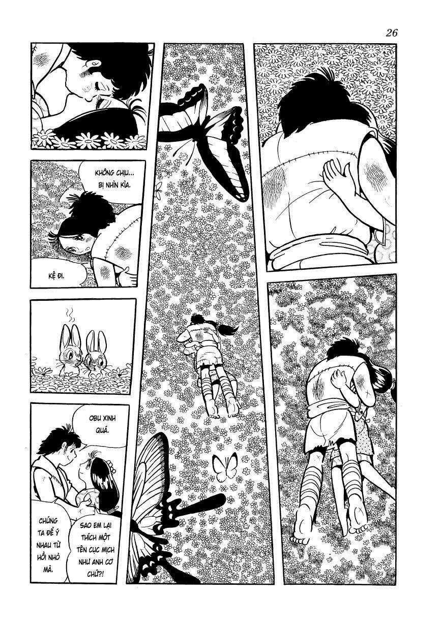 Chim Lửa - Chapter 78 - Trang 3