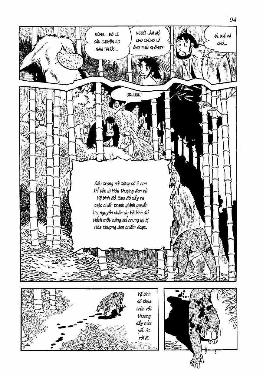 Chim Lửa - Chapter 80 - Trang 12