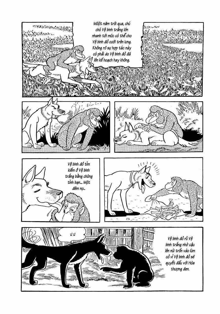 Chim Lửa - Chapter 80 - Trang 19