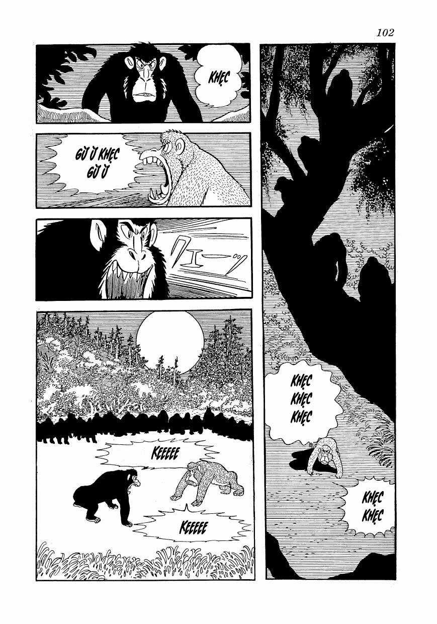 Chim Lửa - Chapter 80 - Trang 20