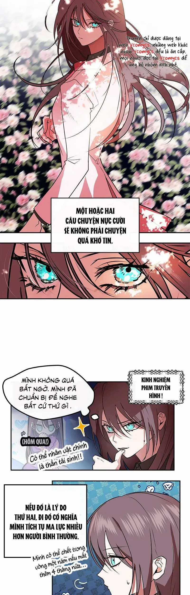 Chinh Phục Trái Tim - Chapter 29 - Trang 14