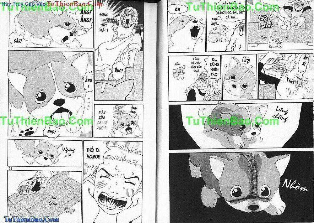 Chó con Mo Mo - Chapter 1 - Trang 11