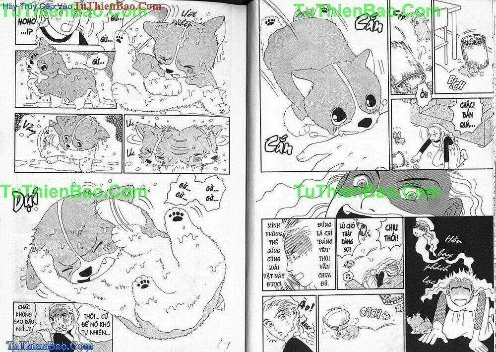 Chó con Mo Mo - Chapter 1 - Trang 15