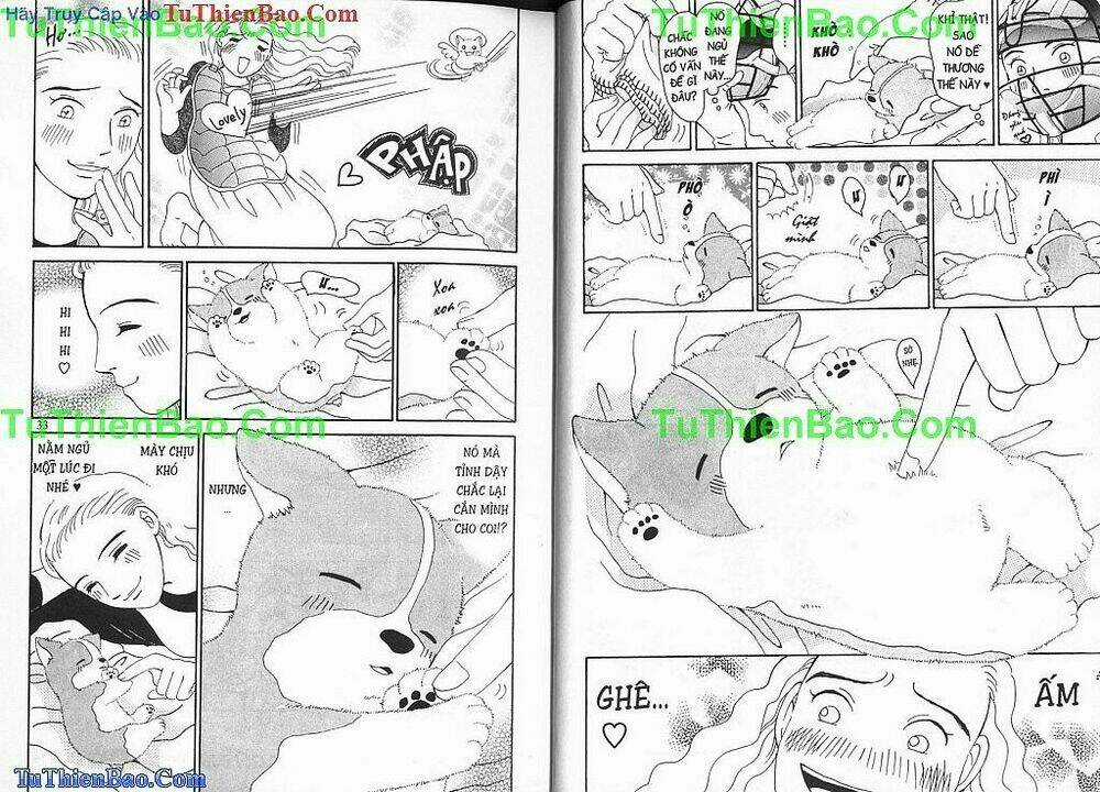 Chó con Mo Mo - Chapter 1 - Trang 17