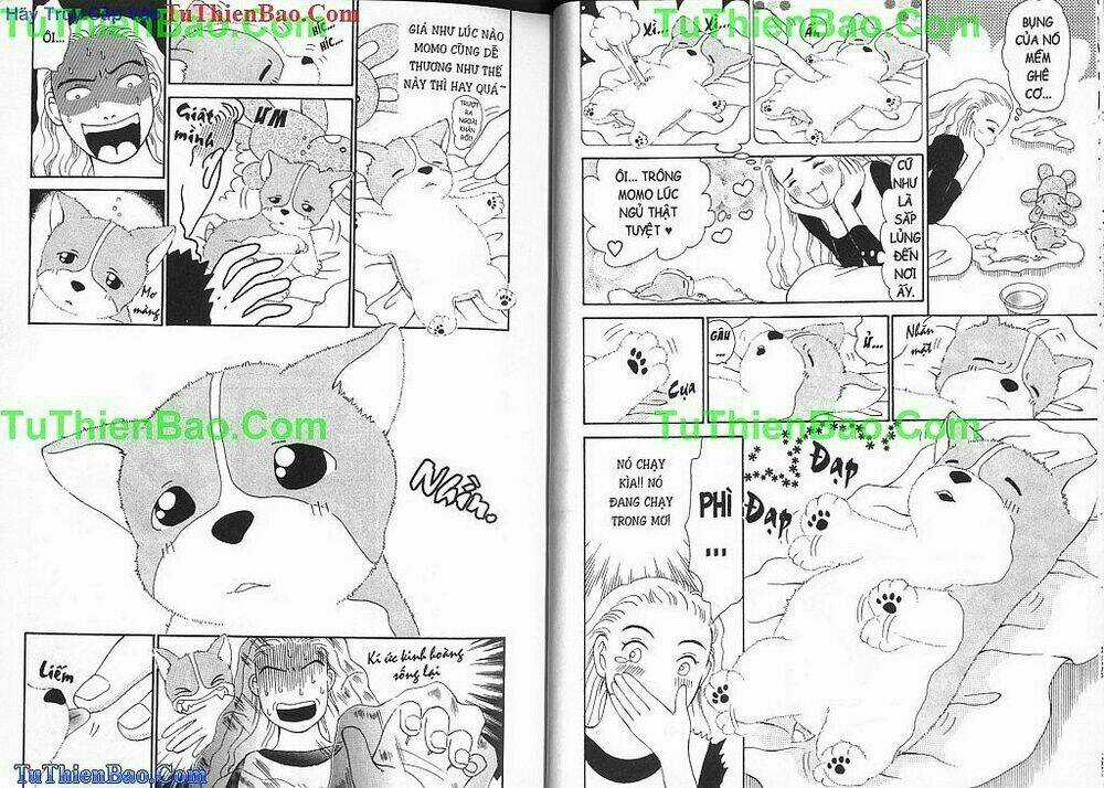 Chó con Mo Mo - Chapter 1 - Trang 19