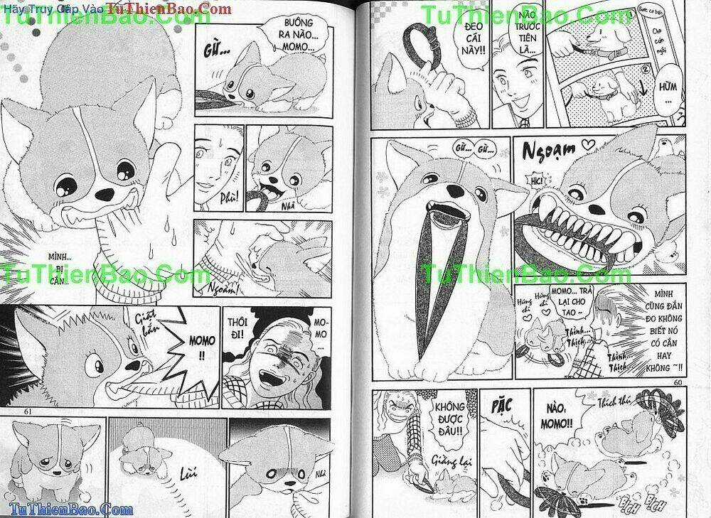 Chó con Mo Mo - Chapter 1 - Trang 31