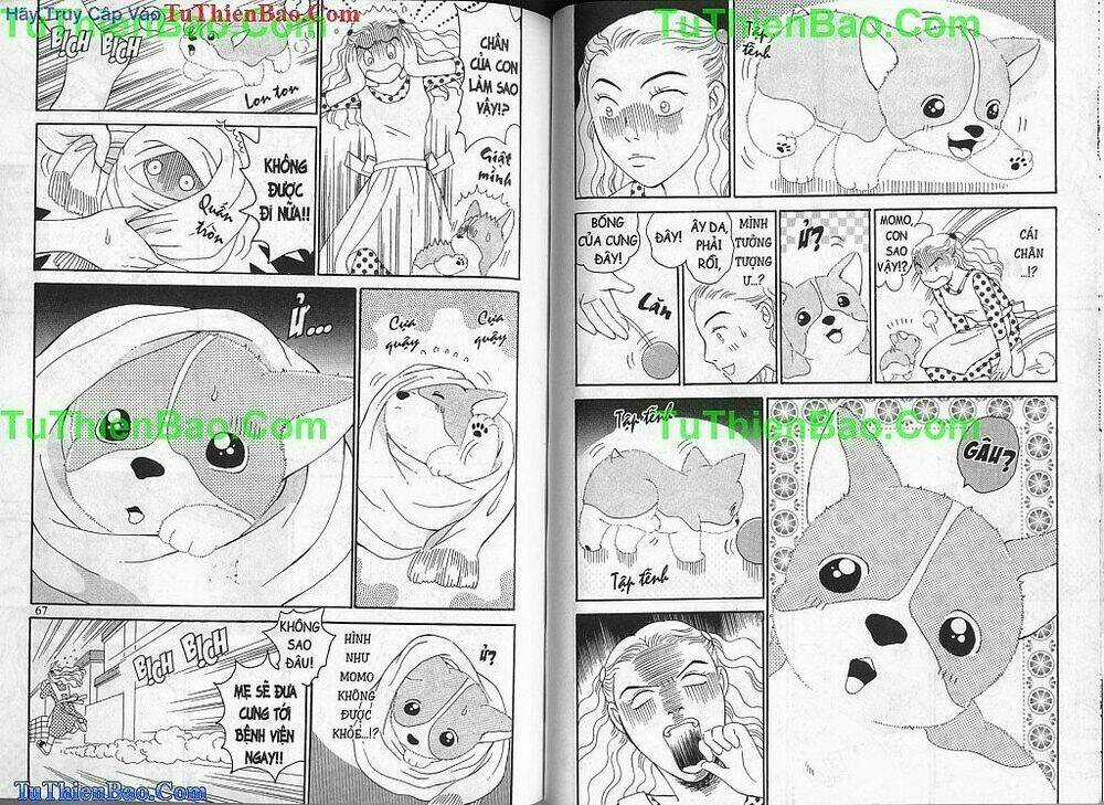 Chó con Mo Mo - Chapter 1 - Trang 34