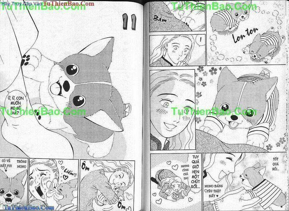 Chó con Mo Mo - Chapter 1 - Trang 40