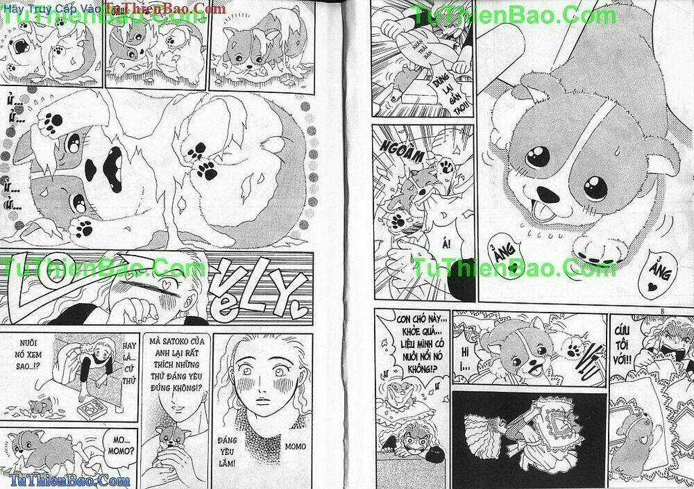 Chó con Mo Mo - Chapter 1 - Trang 5