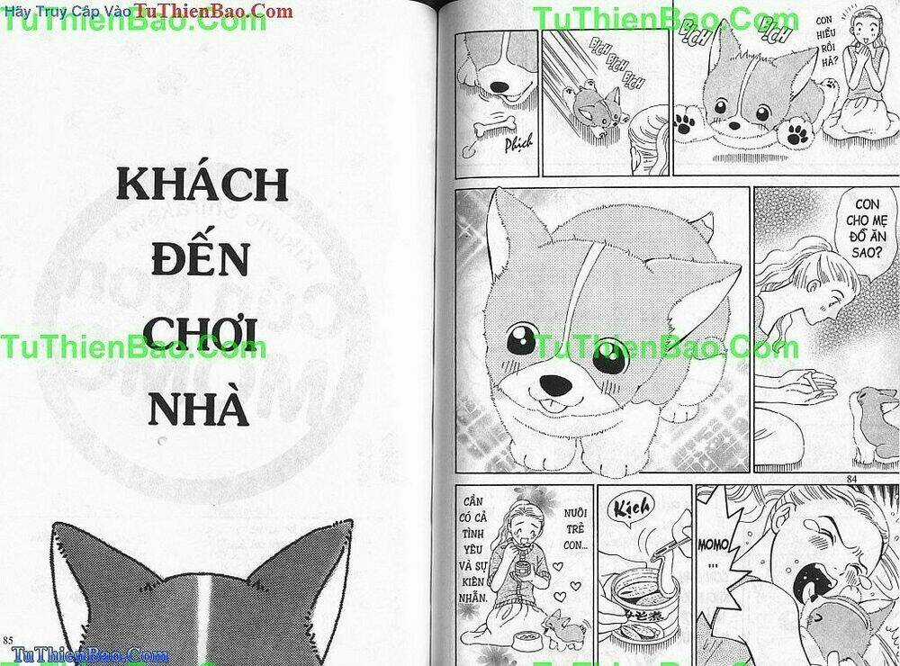 Chó con Mo Mo - Chapter 1 - Trang 43