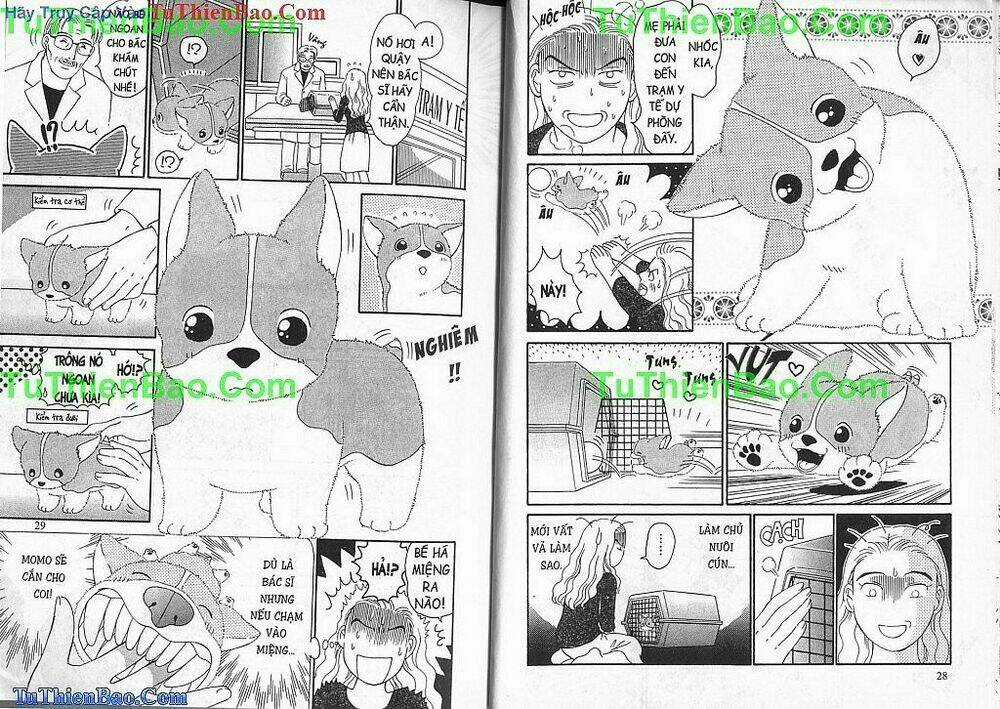 Chó con Mo Mo - Chapter 2 - Trang 15