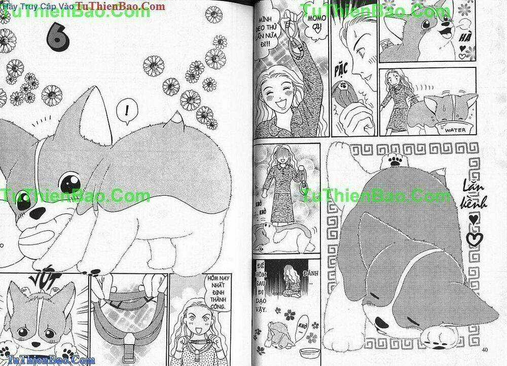 Chó con Mo Mo - Chapter 2 - Trang 21