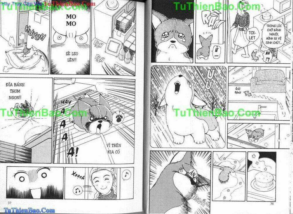 Chó con Mo Mo - Chapter 4 - Trang 19