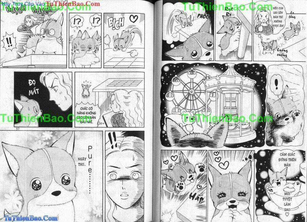 Chó con Mo Mo - Chapter 5 - Trang 29