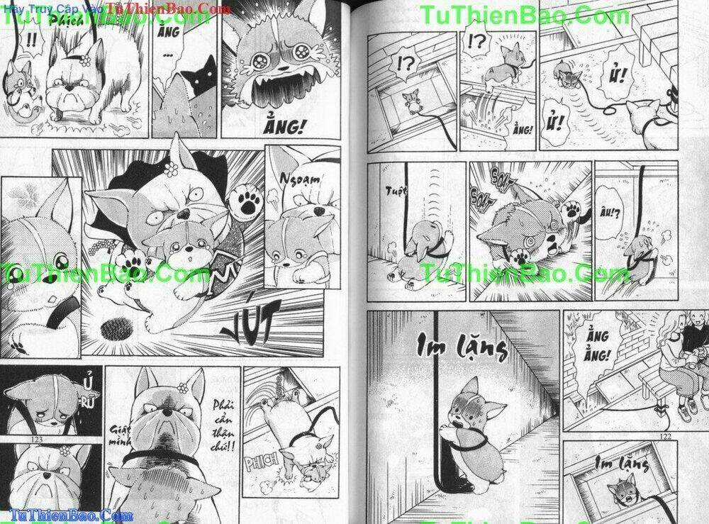 Chó con Mo Mo - Chapter 5 - Trang 62