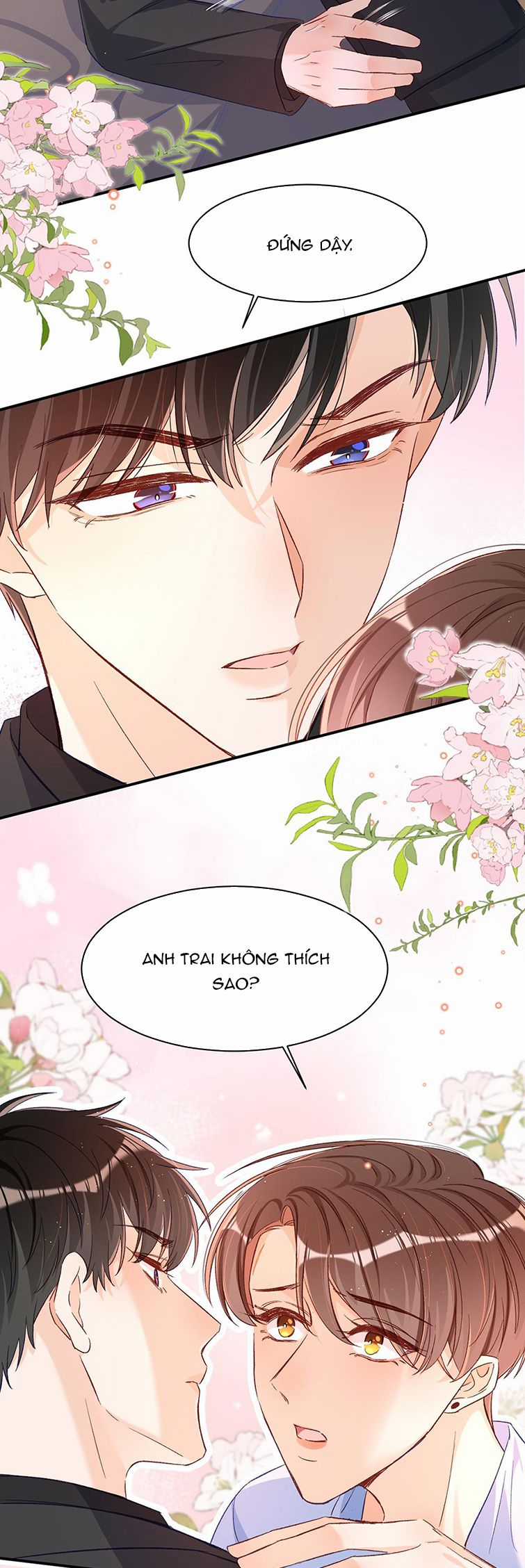 Cho Là Thật - Chapter 24 - Trang 5