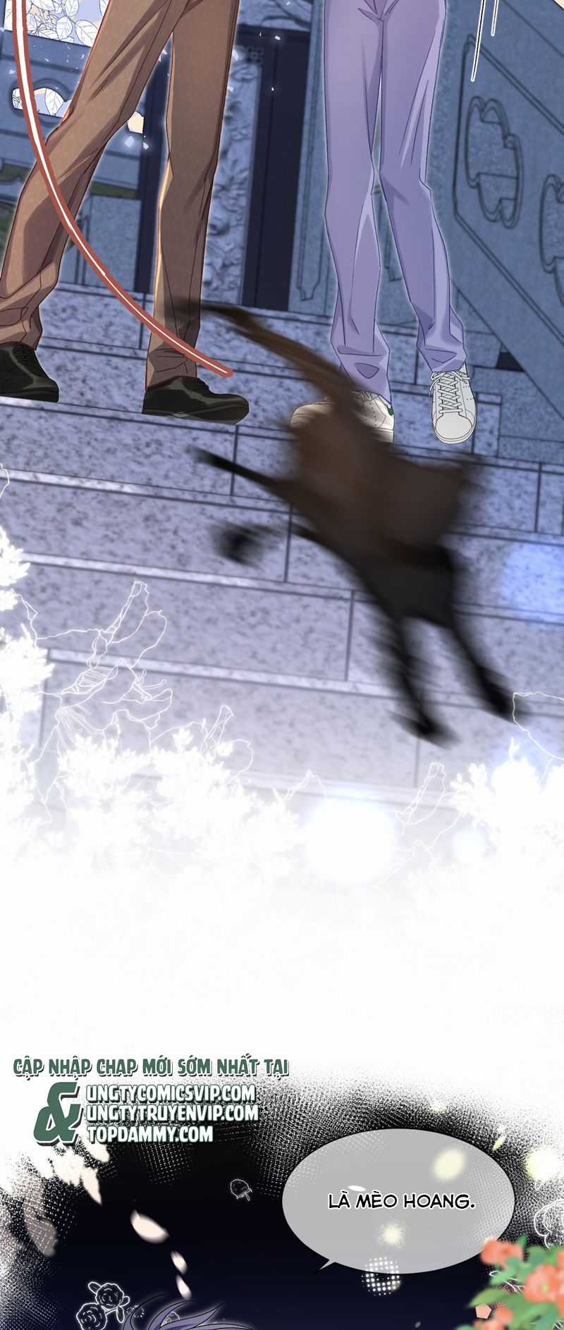 Cho Là Thật - Chapter 51 - Trang 25