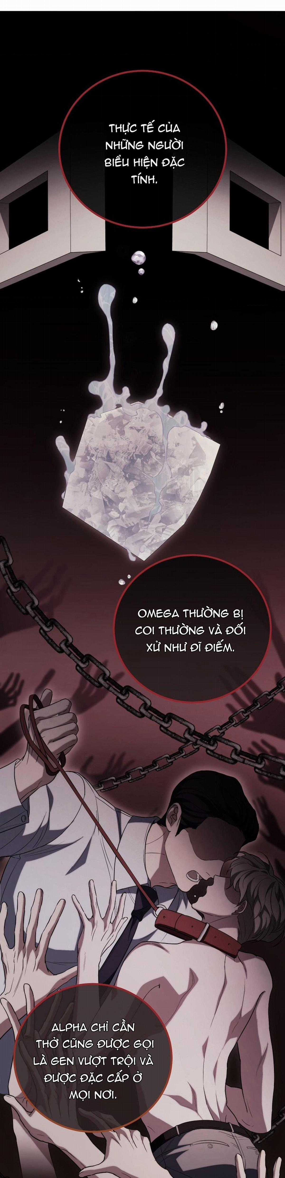 Chó Lớn Bắt Nạt Chủ - Chapter 3 - Trang 62