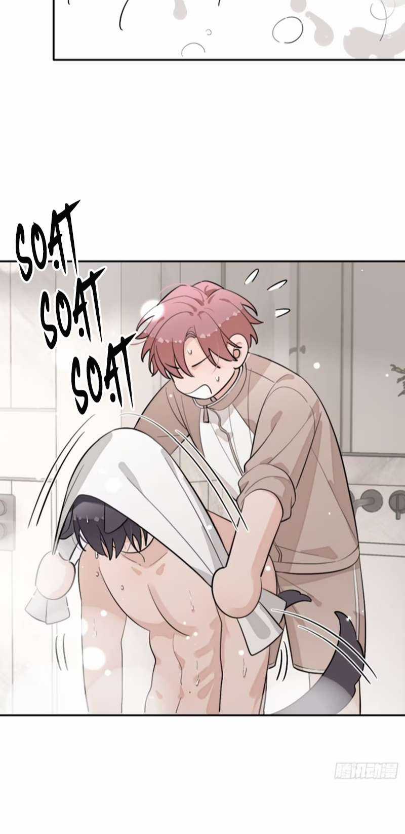 Chó Lớn Bắt Nạt Chủ - Chapter 49 - Trang 15