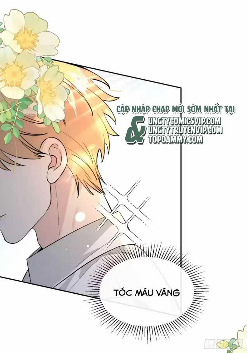 Chó Lớn Bắt Nạt Chủ - Chapter 66 - Trang 47