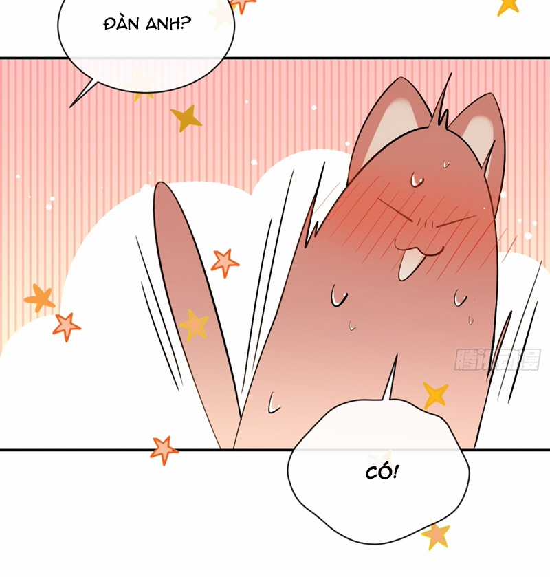 Chó Lớn Bắt Nạt Chủ - Chapter 72 - Trang 13