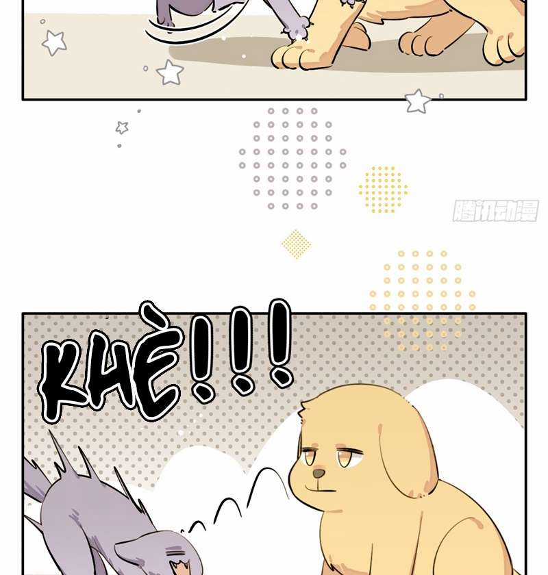 Chó Lớn Bắt Nạt Chủ - Chapter 75 - Trang 39