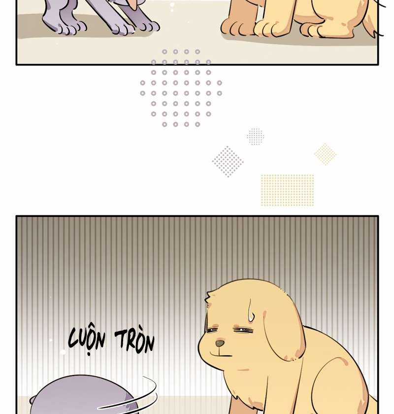 Chó Lớn Bắt Nạt Chủ - Chapter 75 - Trang 40
