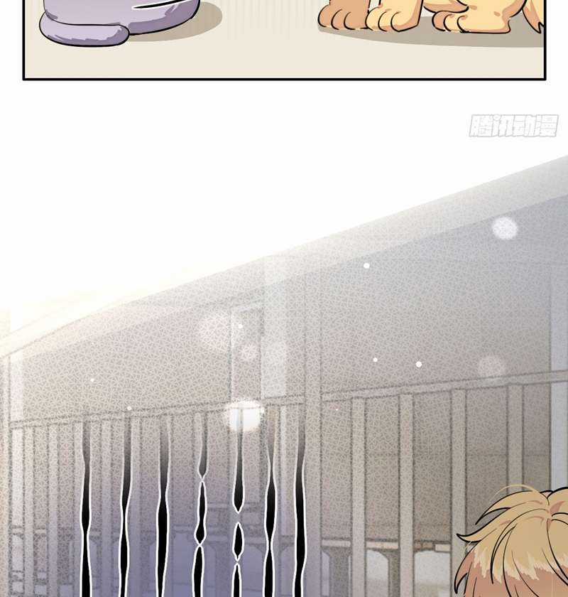 Chó Lớn Bắt Nạt Chủ - Chapter 75 - Trang 41