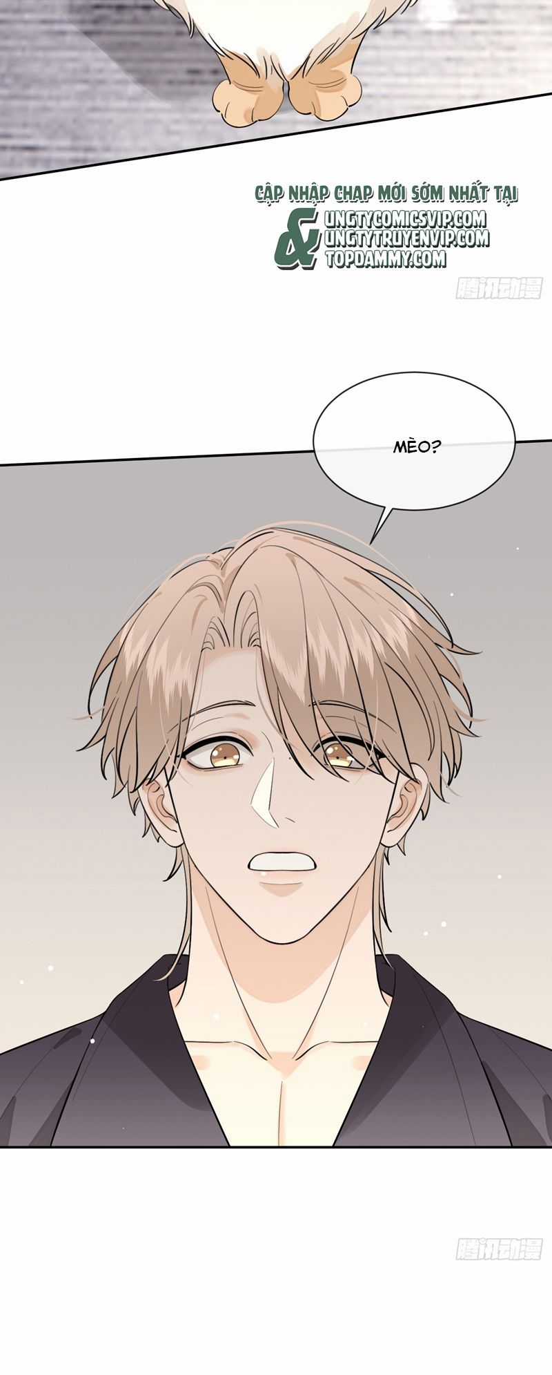 Chó Lớn Bắt Nạt Chủ - Chapter 81 - Trang 11