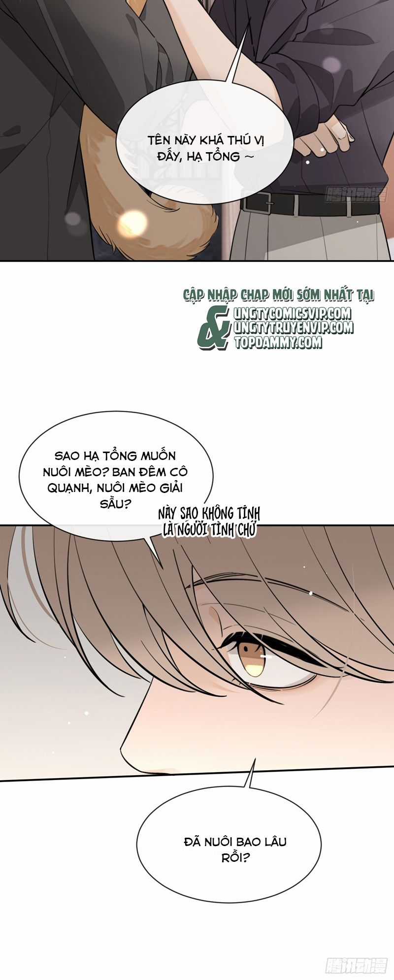 Chó Lớn Bắt Nạt Chủ - Chapter 81 - Trang 15