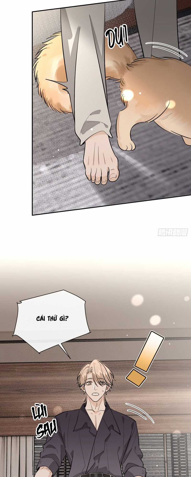 Chó Lớn Bắt Nạt Chủ - Chapter 81 - Trang 9