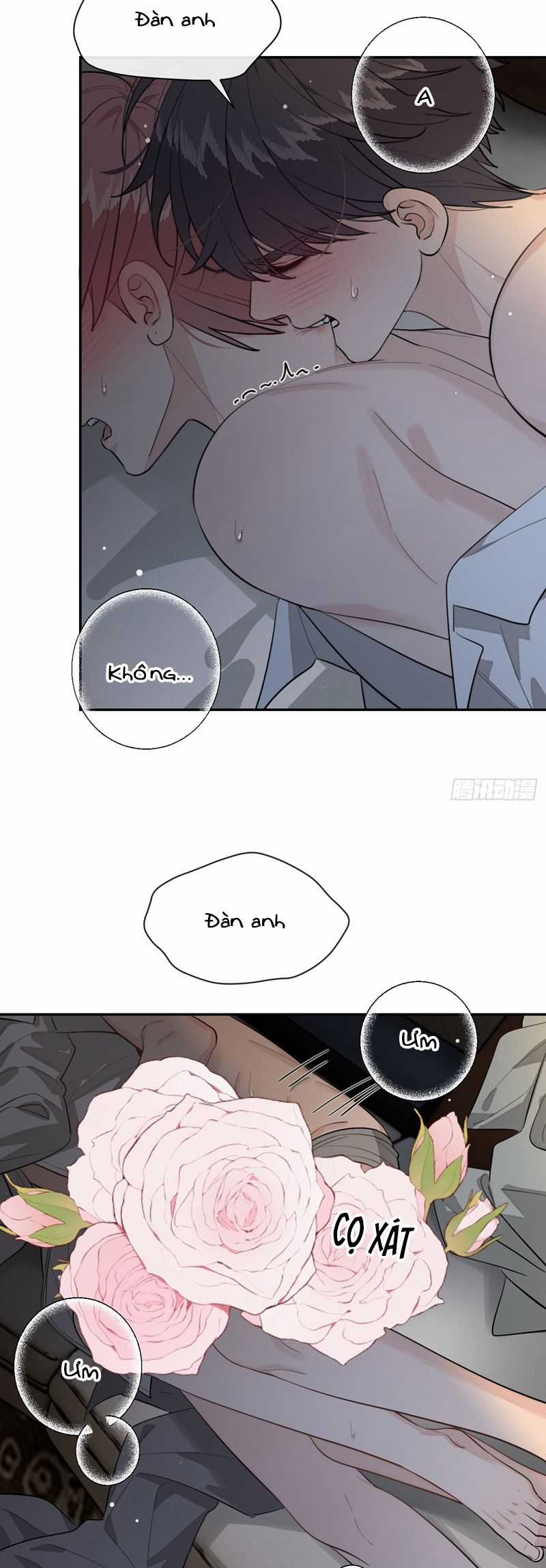 Chó Lớn Bắt Nạt Chủ - Chapter 89 - Trang 15