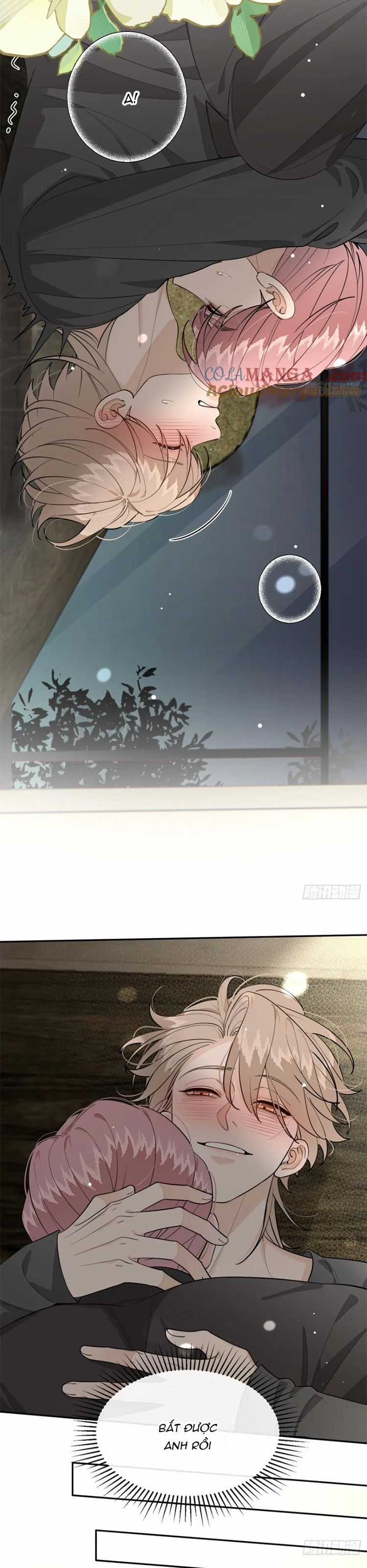 Chó Lớn Bắt Nạt Chủ - Chapter 91 - Trang 12