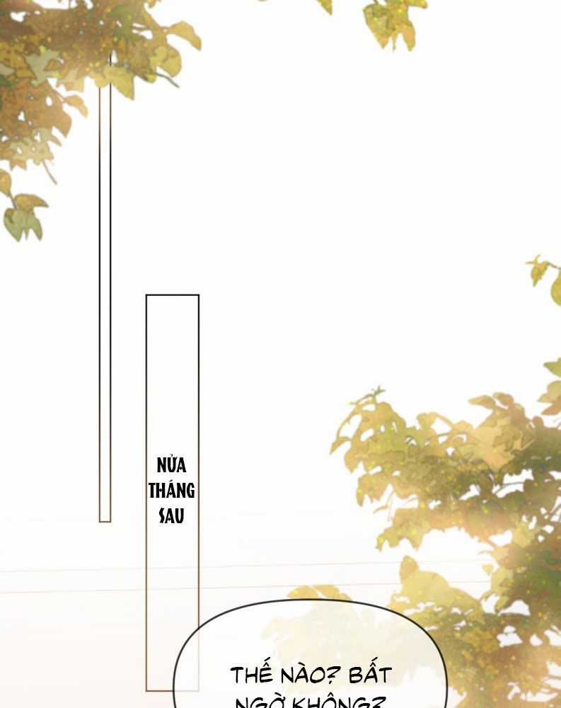 Chó Săn - Chapter 39 - Trang 58