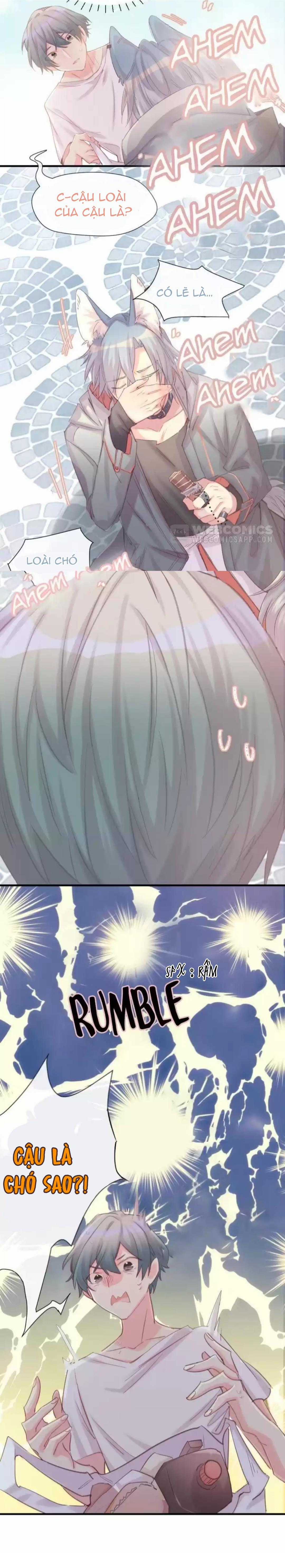 Chocolate Có Hại Cho Chó - Chapter 2 - Trang 9