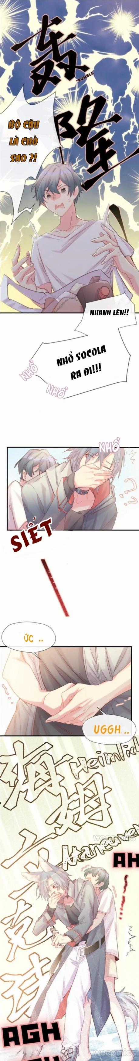 Chocolate Có Hại Cho Chó - Chapter 3 - Trang 1