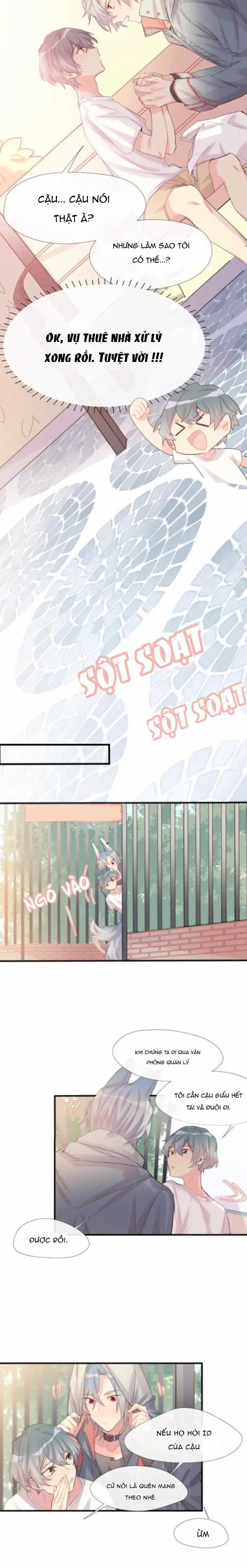 Chocolate Có Hại Cho Chó - Chapter 3 - Trang 5