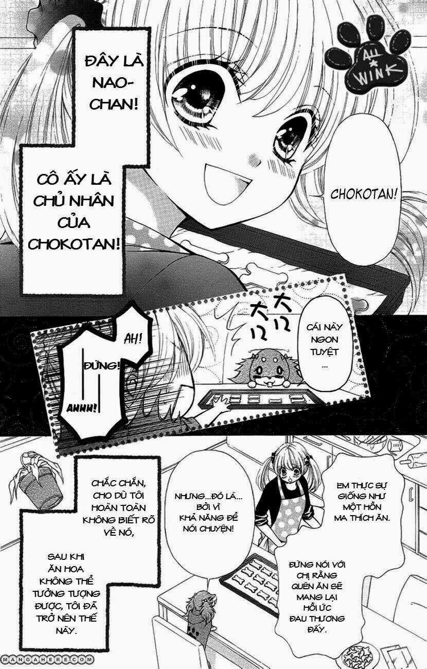 Chokotan! - Chapter 1 - Trang 4