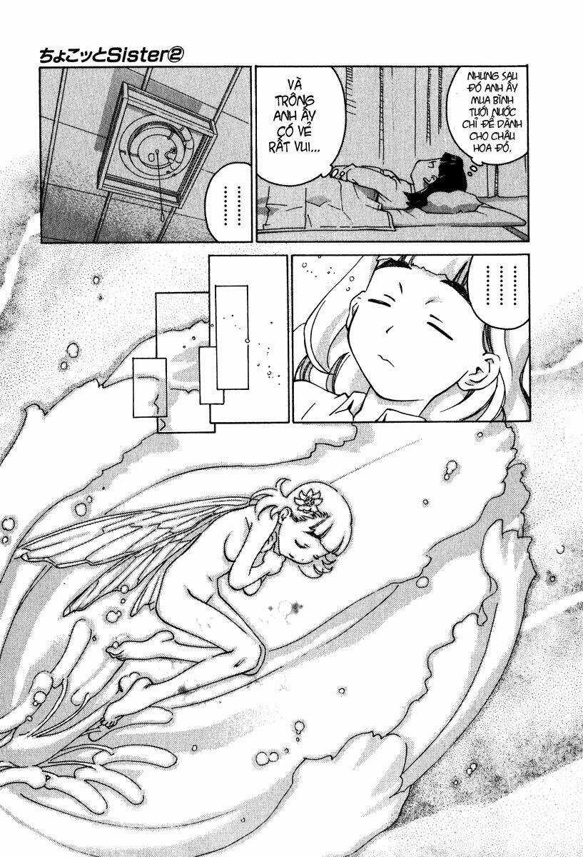 Chokotto Sister - Chapter 11 - Trang 13