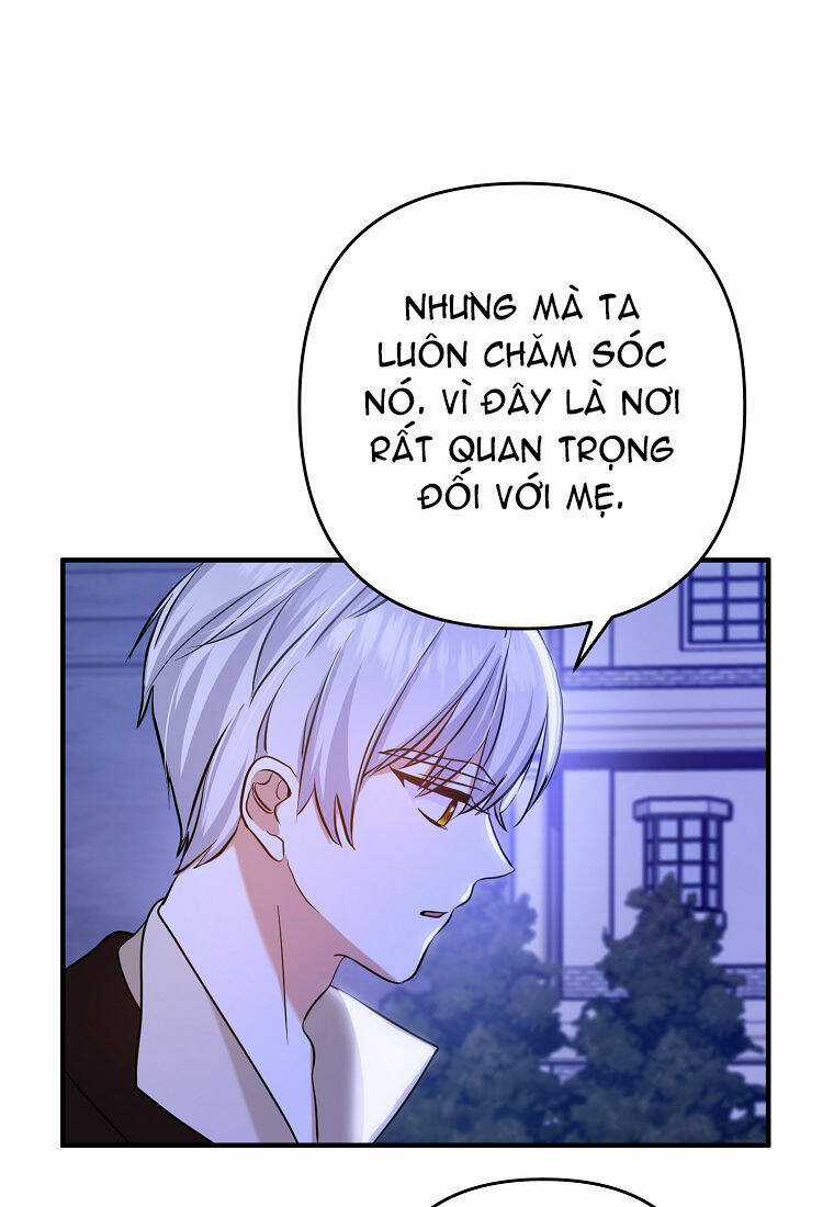 Chồng À, Mình Ly Hôn Đi - Chapter 4 - Trang 77