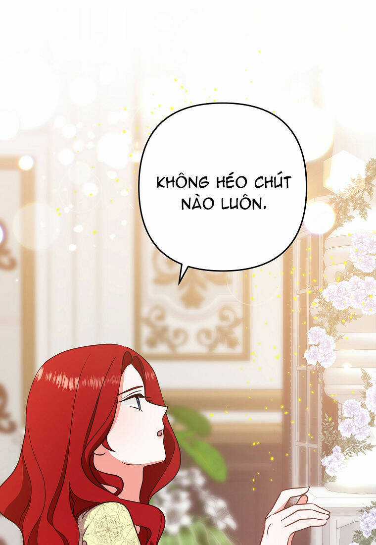 Chồng À, Mình Ly Hôn Đi - Chapter 7 - Trang 17