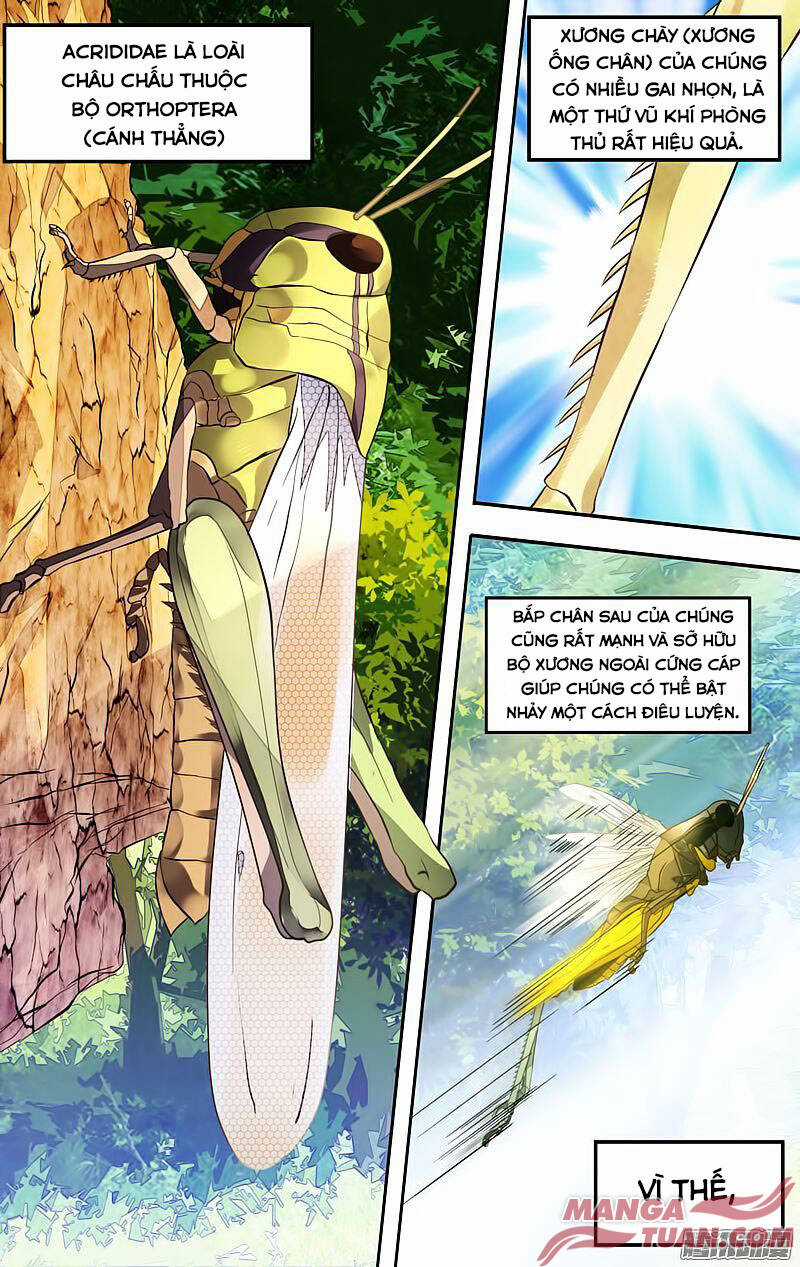 Chong Sheng - Resurrection - Chapter 3 - Trang 6