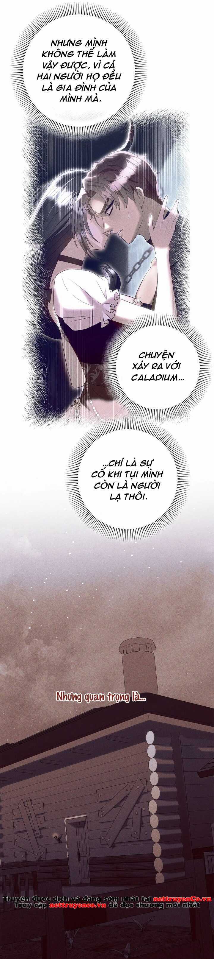 Chủ hầm ngục cấp S - Chapter 17 - Trang 13