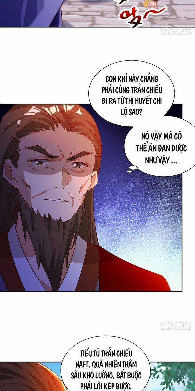 Chúa Tể Tam Giới - Chapter 173 - Trang 3