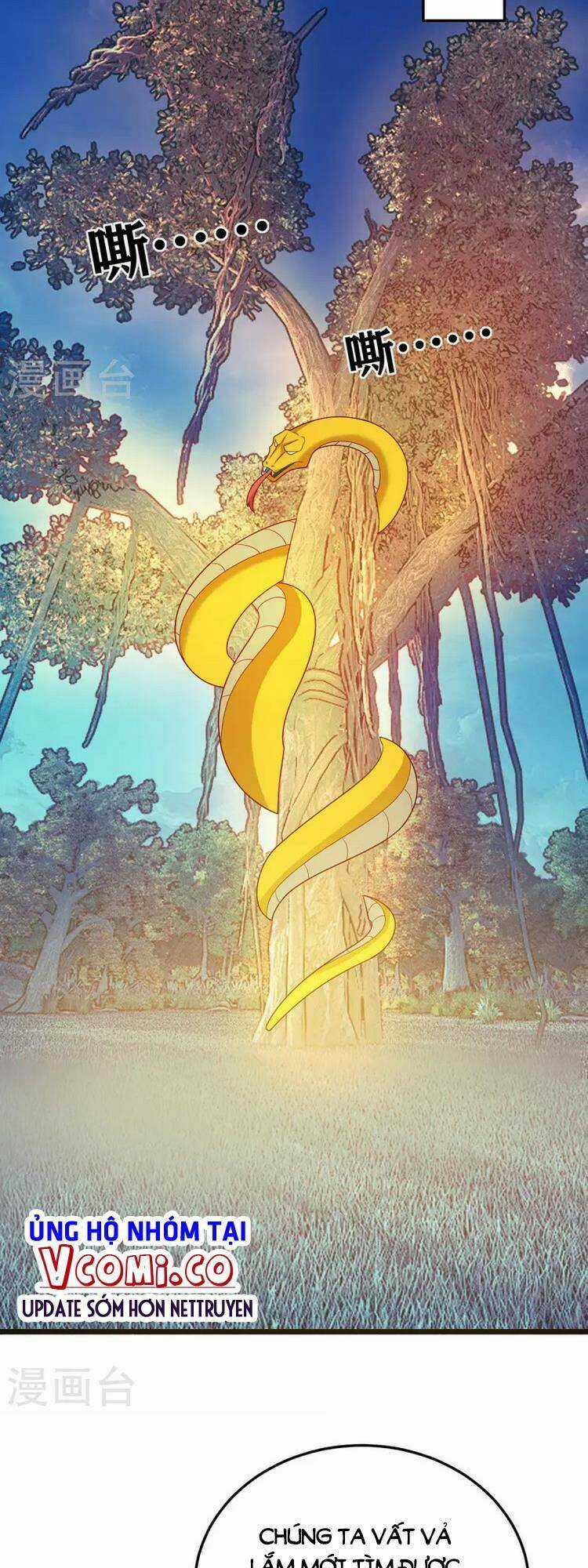 Chúa Tể Tam Giới - Chapter 271 - Trang 20