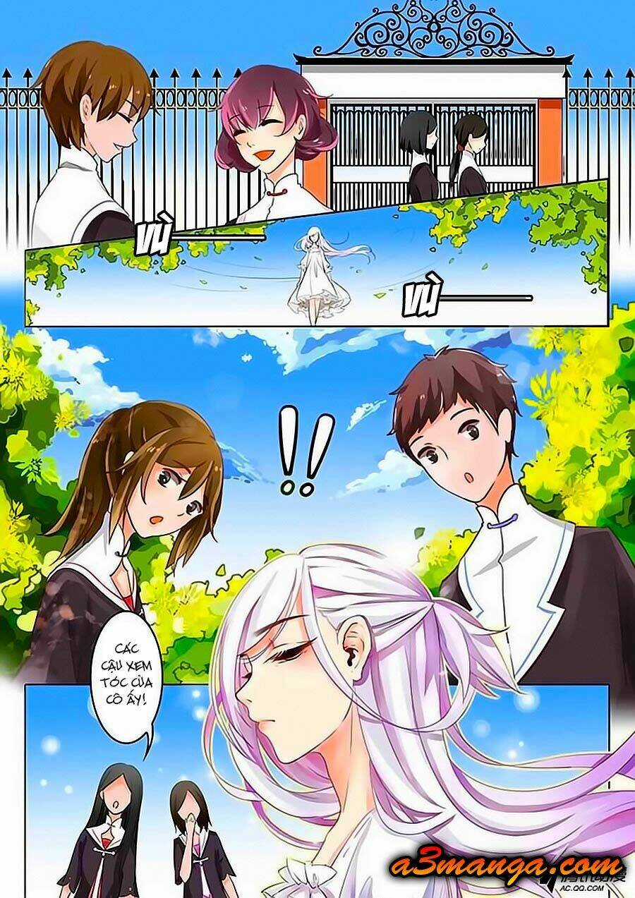 Chước Chước Lưu Ly Hạ - Chapter 1 - Trang 4